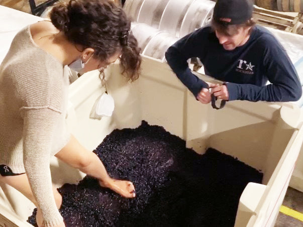 Two people in the cellar stomping grapes with their feet