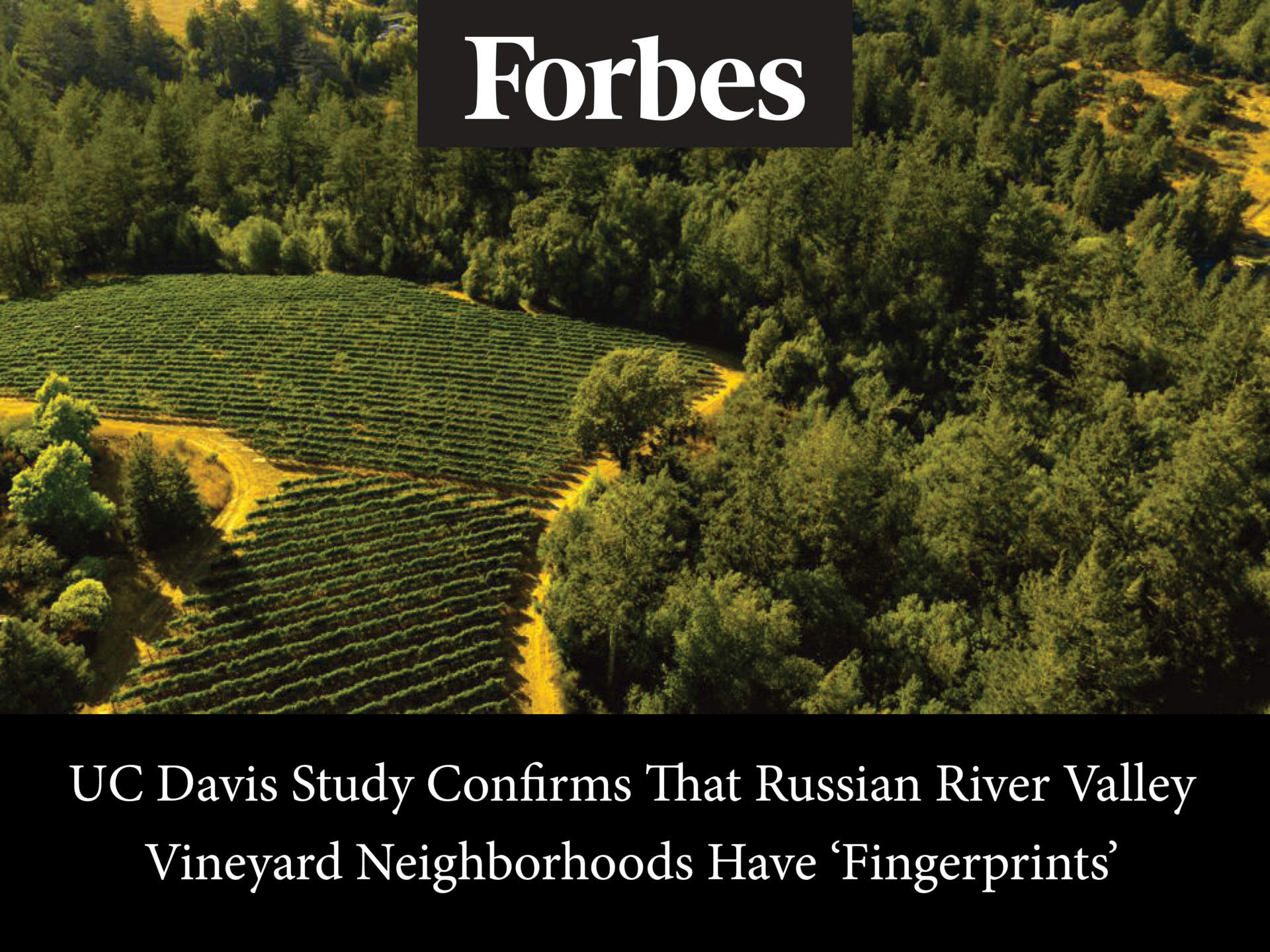 Image of vineyard rolling hills with Forbes logo