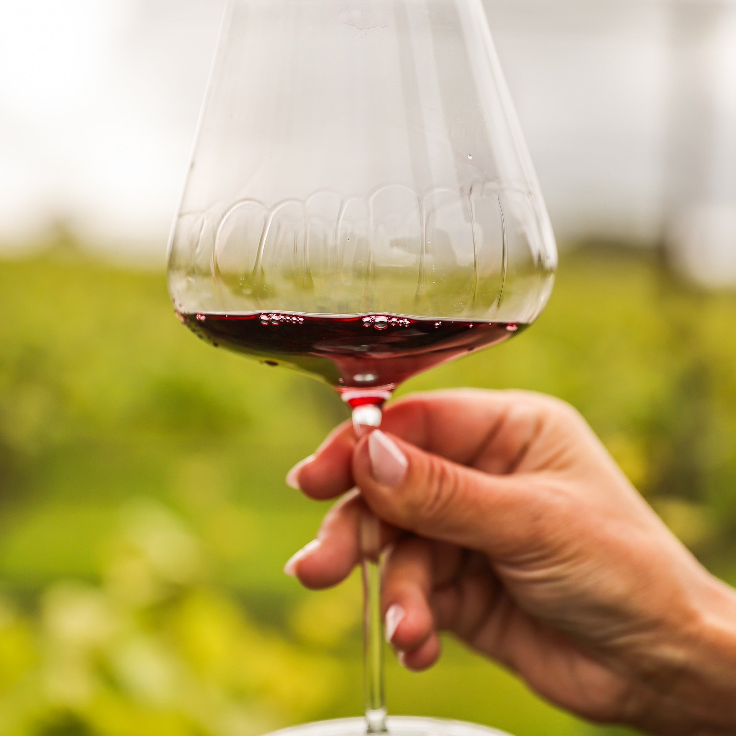 The Ultimate Sebastopol Weekend: A 3-Day Itinerary for Wine Lovers