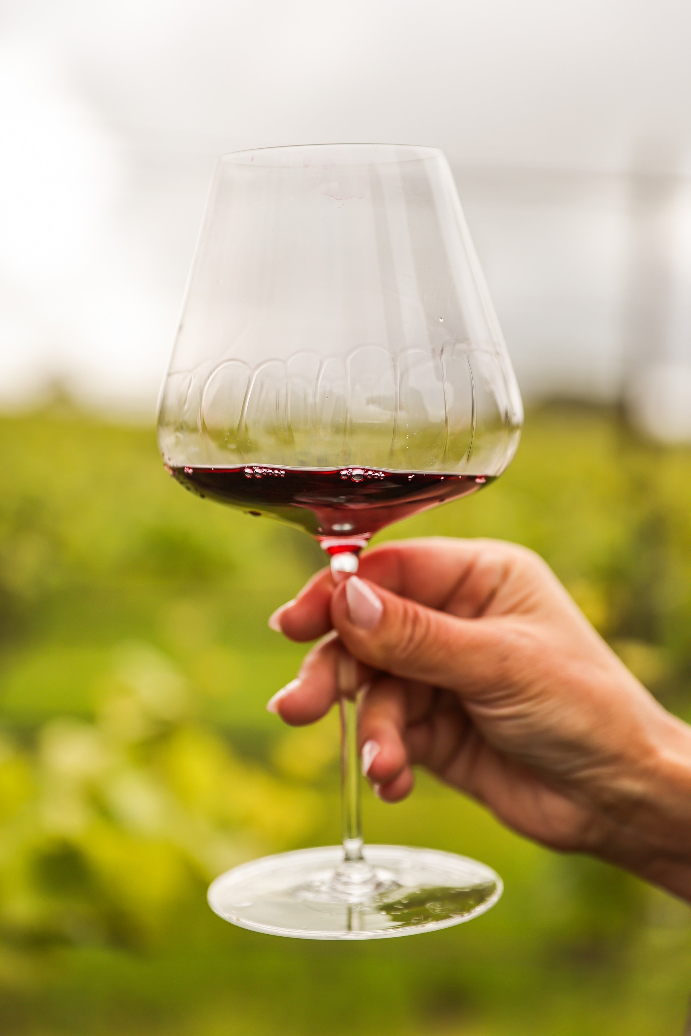 The Ultimate Sebastopol Weekend: A 3-Day Itinerary for Wine Lovers