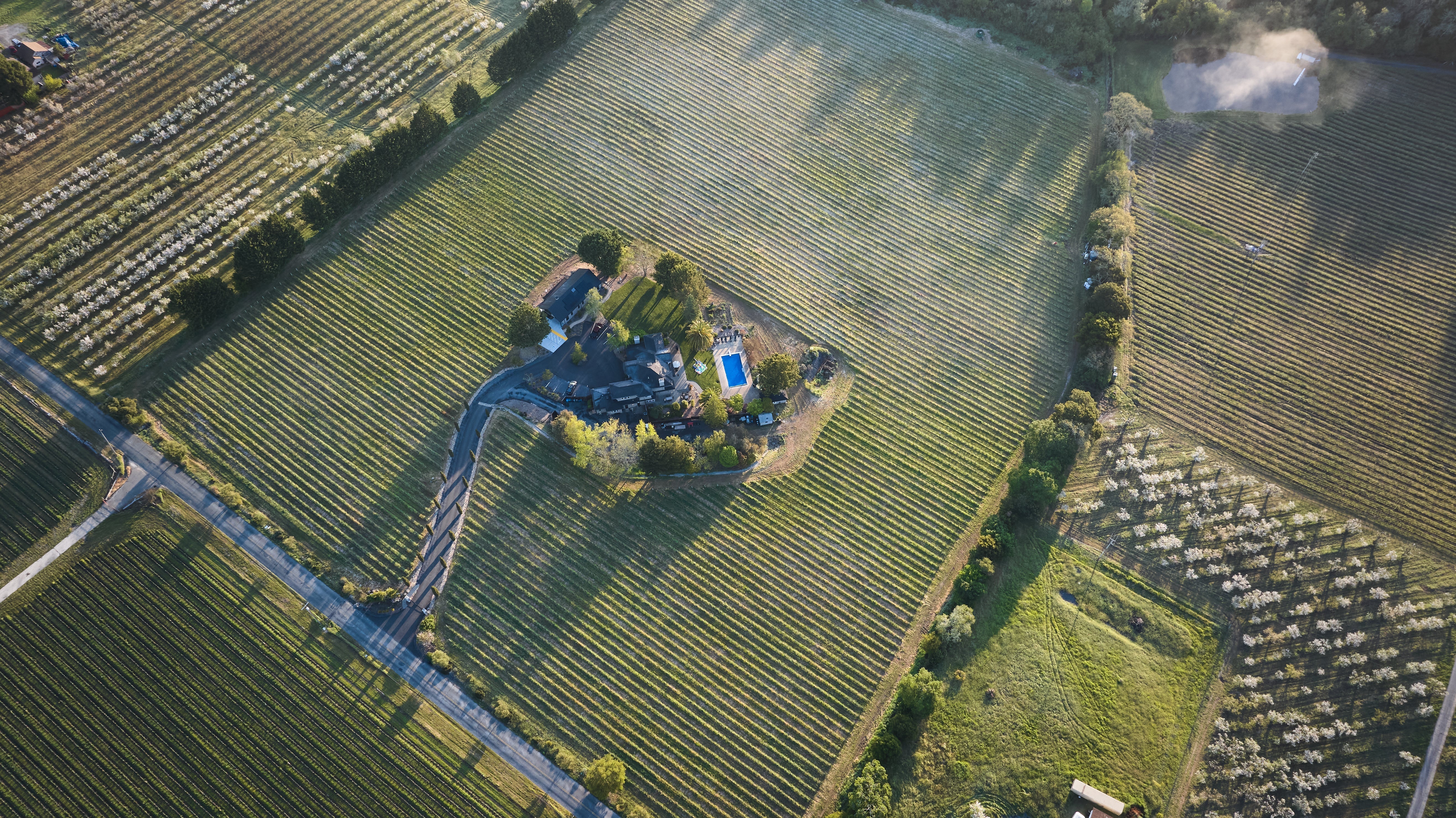 Wine Country Vacation Rentals: Why Staying on a Working Vineyard Changes Everything