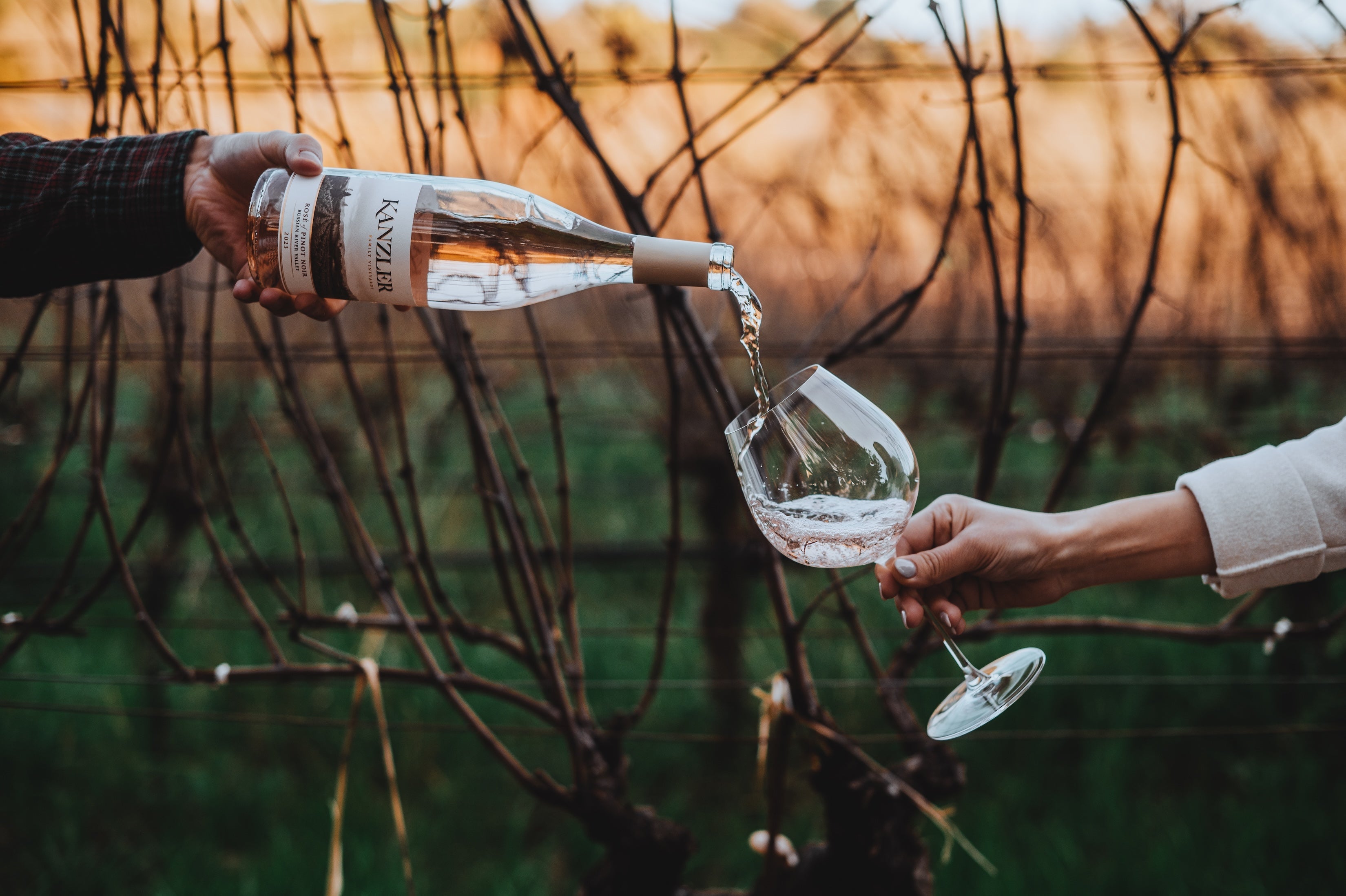 Spring in Sebastopol Wine Country: Bud Break, Blooms, and the Best Time to Visit