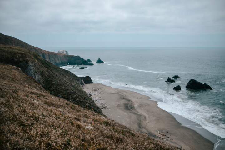 Picture of Bodega Bay beach with cliffs and sandy beach