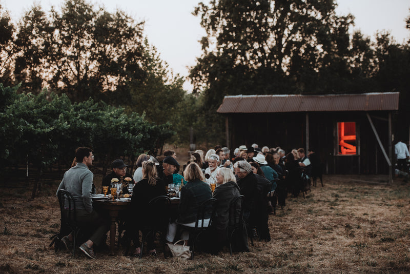 Long table of people dining outdoors near vineyard with trees and rustic wooden shed at dusk